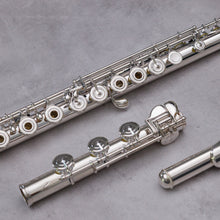 Lataa kuva Galleria-katseluun, Haynes Q Galway RBIC#