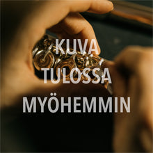 Load image into Gallery viewer, Haynes Q2 RBEO