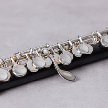 Load image into Gallery viewer, Pre-owned August Richard Hammig 40114/3 #7245 Grenadilla Piccolo + Fischer HKR Headjoint
