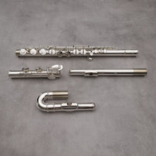 Load image into Gallery viewer, Di Zhao 100 Alto Flute
