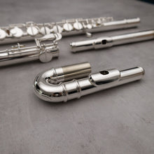 Load image into Gallery viewer, Di Zhao 100 Alto Flute
