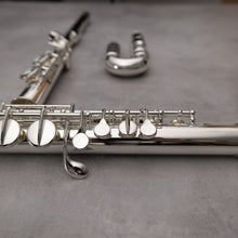 Load image into Gallery viewer, Di Zhao 100 Alto Flute

