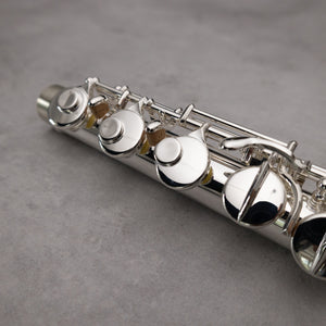 Di Zhao 100 Alto Flute