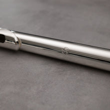 Load image into Gallery viewer, Di Zhao 100 Alto Flute

