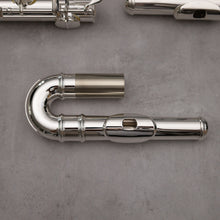 Load image into Gallery viewer, Di Zhao 100 Alto Flute
