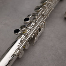 Load image into Gallery viewer, Di Zhao 100 Alto Flute
