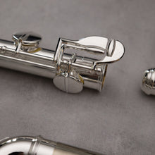 Load image into Gallery viewer, Di Zhao 100 Alto Flute
