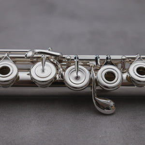 Di Zhao DZ D-SP RBEO