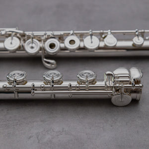 Di Zhao DZ D-SP RBEO