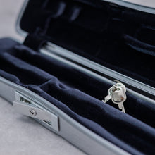 Load image into Gallery viewer, BAM - L&#39;étoile Flute Case
