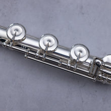 Lataa kuva Galleria-katseluun, Käytetty Pearl 765 RBI #4964
