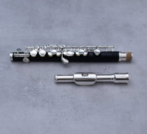 Di Zhao 101 Piccolo