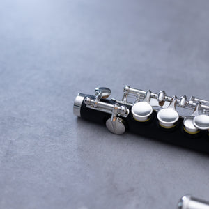 Di Zhao 101 Piccolo