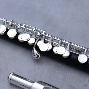 Di Zhao 101 Piccolo