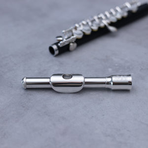 Di Zhao 101 Piccolo