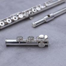 Load image into Gallery viewer, Käytetty Sankyo 201 RCEO #08053
