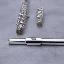 Load image into Gallery viewer, Sankyo 201 RBEO
