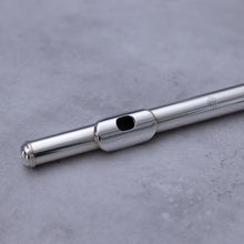 Lataa kuva Galleria-katseluun, Käytetty Di Zhao hopeinen suukappale
