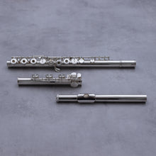 Load image into Gallery viewer, Sankyo 401 RBEO
