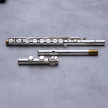 Load image into Gallery viewer, Käytetty Emerson Alttohuilu #75596
