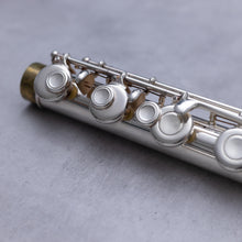 Load image into Gallery viewer, Käytetty Emerson Alttohuilu #75596
