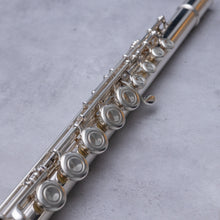 Load image into Gallery viewer, Käytetty Emerson Alttohuilu #75596
