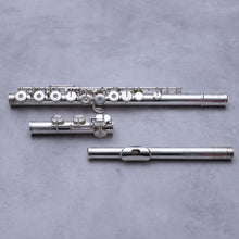 Load image into Gallery viewer, Käytetty Trevor James Recital ST-2 RCEO #RS363
