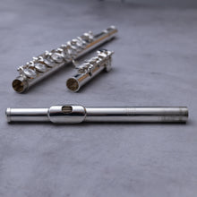 Load image into Gallery viewer, Käytetty Trevor James Recital ST-2 RCEO #RS363
