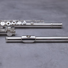 Load image into Gallery viewer, Sankyo 301 RBEO
