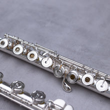 Load image into Gallery viewer, Sankyo 301 RBEO
