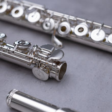 Load image into Gallery viewer, Sankyo 301 RBEO
