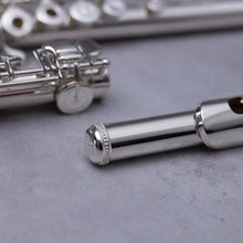 Load image into Gallery viewer, Sankyo 301 RBEO
