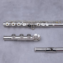 Load image into Gallery viewer, Sankyo 301 RBEO
