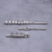 Load image into Gallery viewer, Tomasi TFL-10S-SIB RBEO
