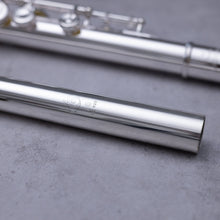 Load image into Gallery viewer, Tomasi TFL-10S-SIB RBEO
