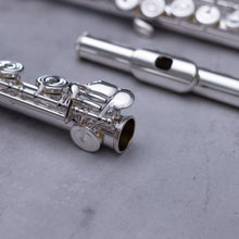 Load image into Gallery viewer, Tomasi TFL-10S-SIB RBEO
