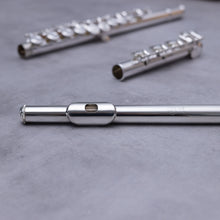 Load image into Gallery viewer, Tomasi TFL-10S-SIB RBEO
