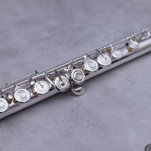 Load image into Gallery viewer, Tomasi TFL-10S-SIB RBEO
