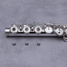 Load image into Gallery viewer, Tomasi TFL-10S-SIB RBEO
