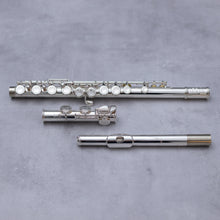 Load image into Gallery viewer, Di Zhao 301
