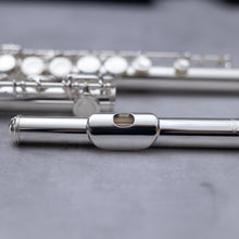 Load image into Gallery viewer, Di Zhao 301 with straight and curved headjoint
