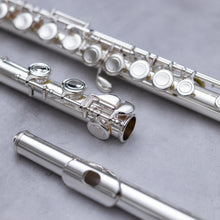 Load image into Gallery viewer, Di Zhao 301 with straight and curved headjoint
