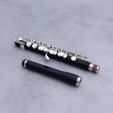 Lataa kuva Galleria-katseluun, Haynes Amadeus AP46 Piccolo
