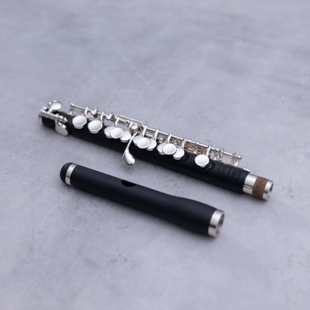 Haynes Amadeus AP46 Piccolo