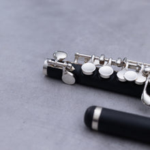 Lataa kuva Galleria-katseluun, Haynes Amadeus AP46 Piccolo
