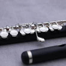 Lataa kuva Galleria-katseluun, Haynes Amadeus AP46 Piccolo
