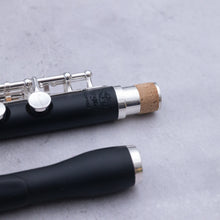 Lataa kuva Galleria-katseluun, Di Zhao 102 Piccolo
