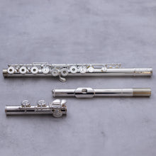 Load image into Gallery viewer, Haynes Amadeus 580SE
