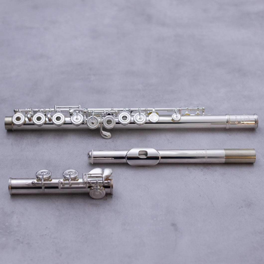 Haynes Amadeus 580SE