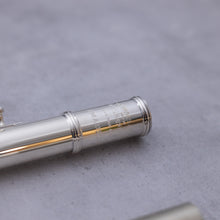 Load image into Gallery viewer, Haynes Amadeus 580SE
